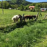 Dom Górski Do Wynajęcia 3 Km Od Karpacza Sudecka 100