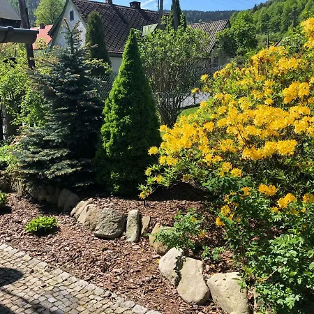 Dom Gorski Do Wynajecia 3 Km Od Karpacza Sudecka 100 Vakantiehuis