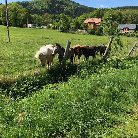 Dom Gorski Do Wynajecia 3 Km Od Karpacza Sudecka 100