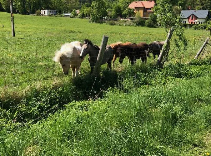 Dom Gorski Do Wynajecia 3 Km Od Karpacza Sudecka 100